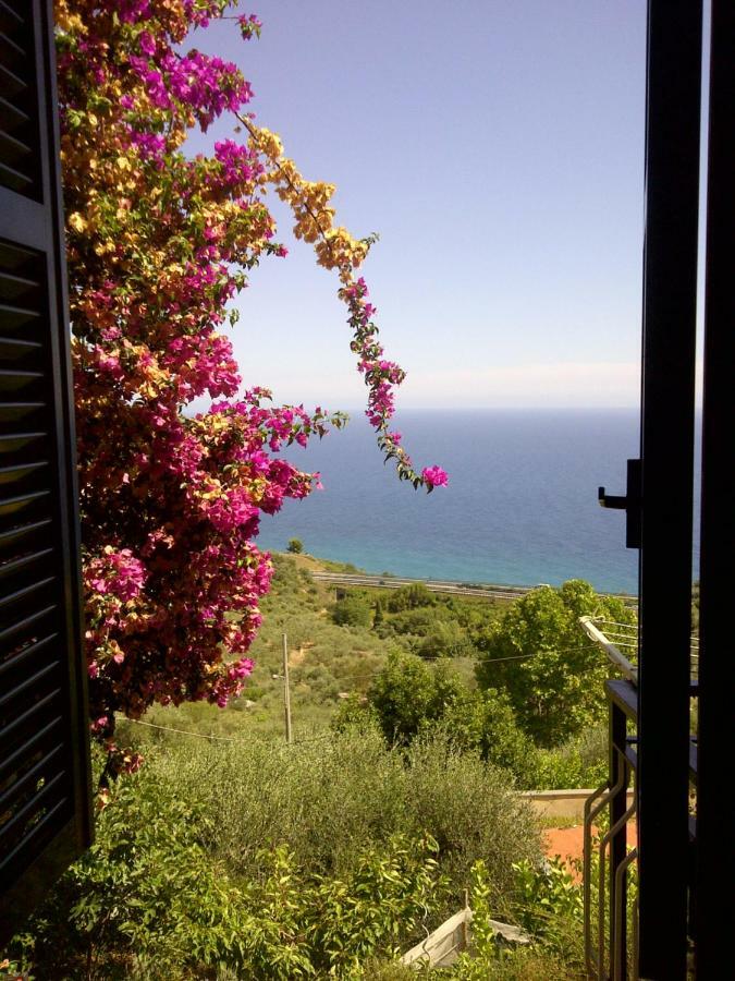 Risorgimento Apartment Cipressa Luaran gambar